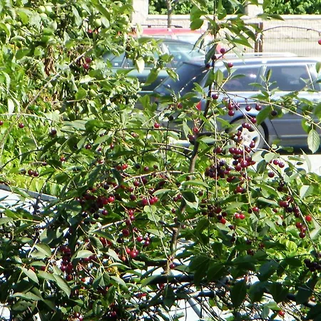 Baltasis Perlas Palanga
